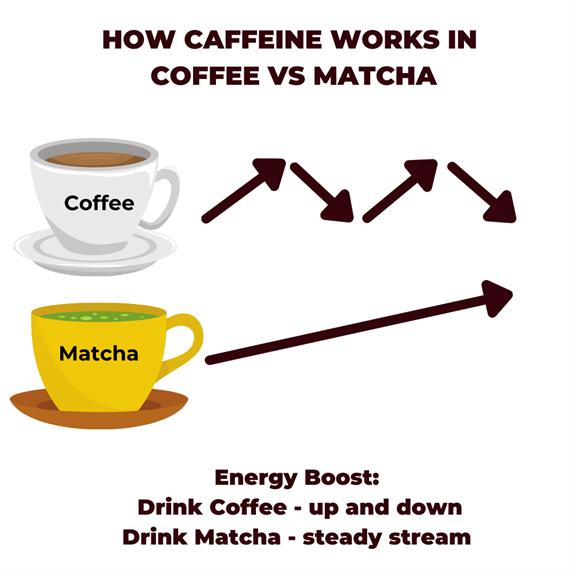 Matcha Tea Vs Coffee