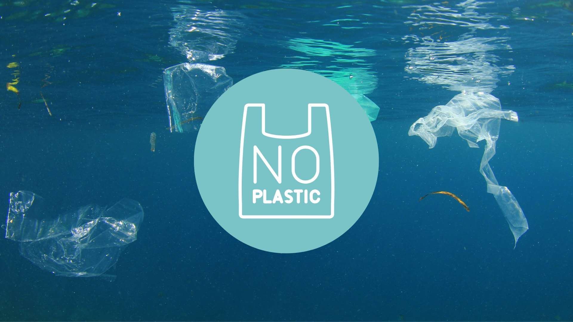No Plastic Slogans